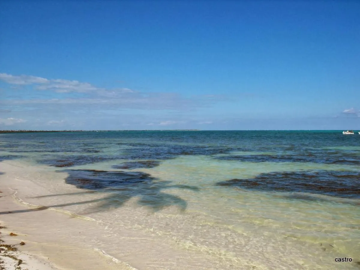 Las Palapas De Punta Allen Guest house