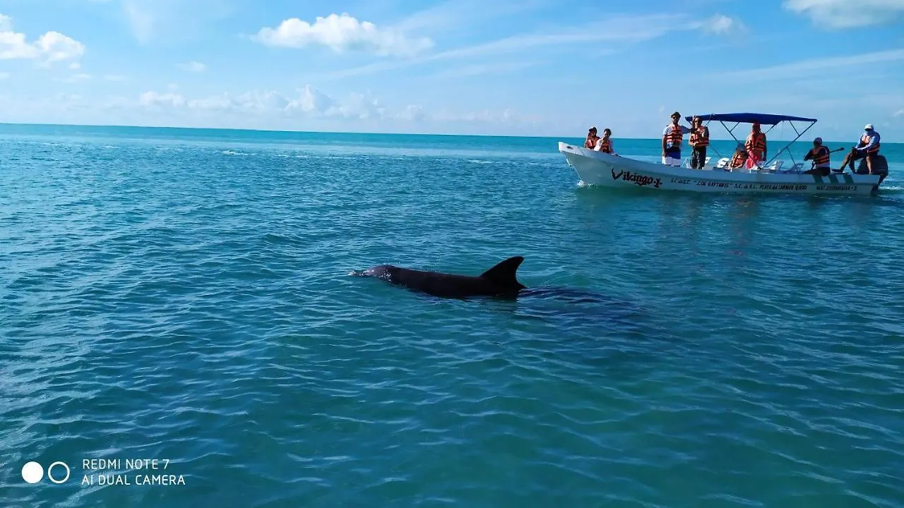 Las Palapas De Punta Allen