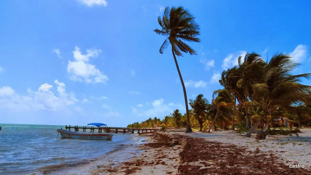 Las Palapas De Punta Allen