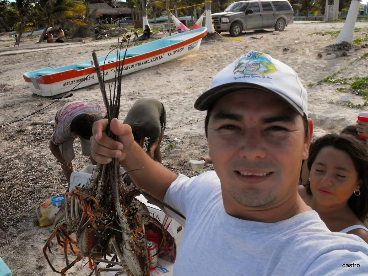 Las Palapas De Punta Allen Mexico