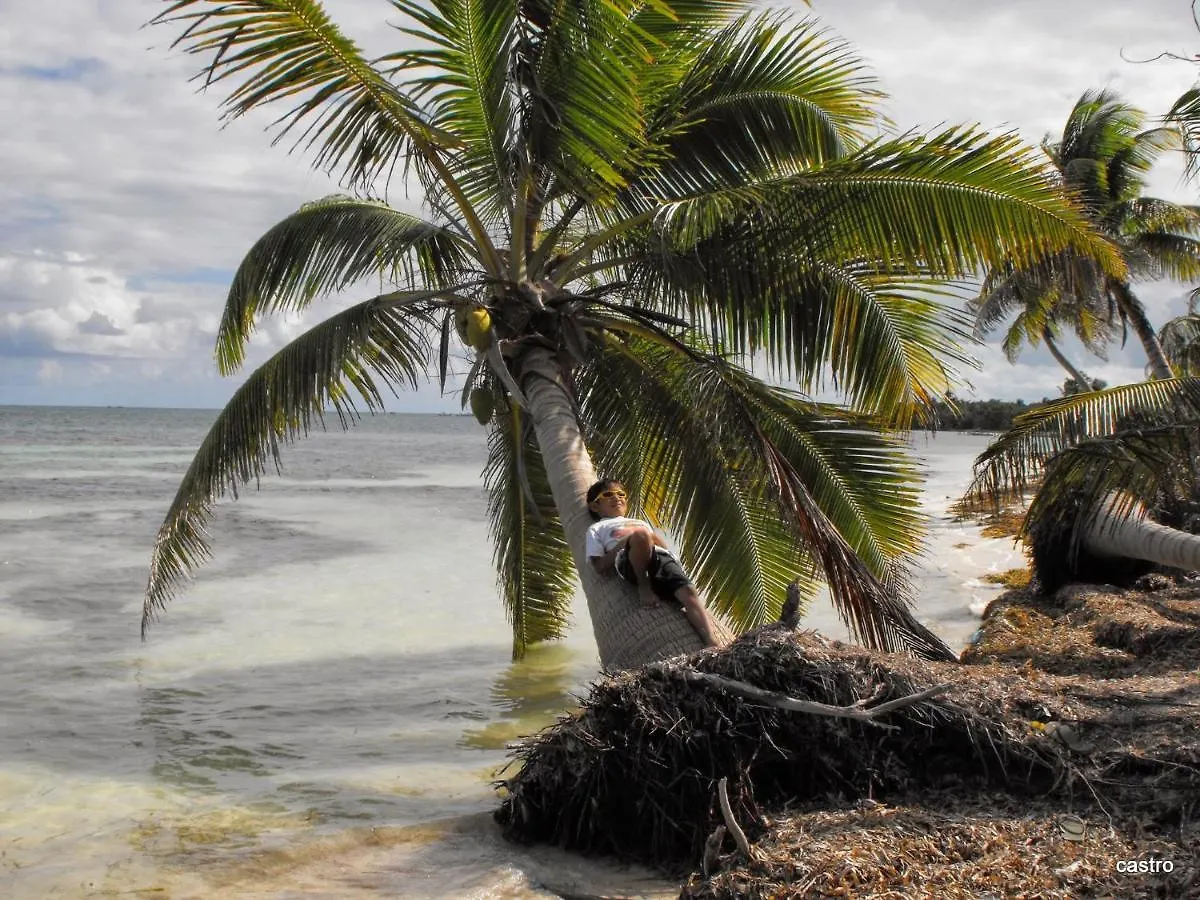 Las Palapas De Punta Allen Guest house