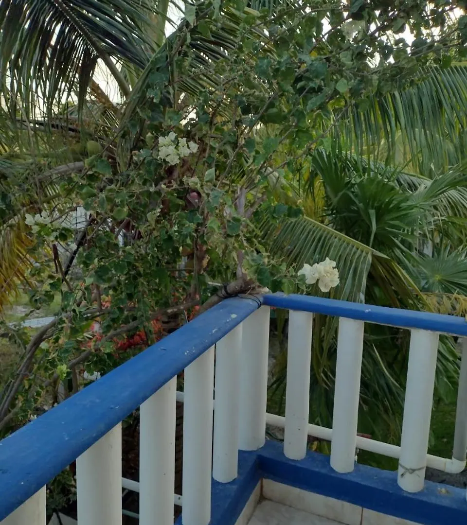 Las Palapas De Punta Allen 0*,