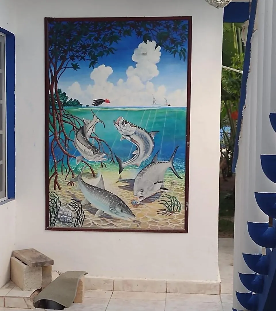 Guest house Las Palapas De Punta Allen